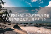 黑料大揭秘专题：从光鲜到黑暗的名人跌落内幕全记录，黑料叫什么