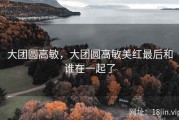 大团圆高敏，大团圆高敏美红最后和谁在一起了