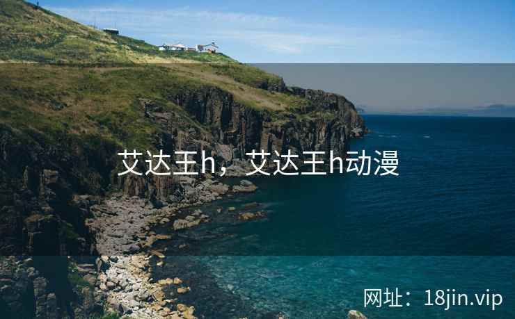 艾达王h，艾达王h动漫