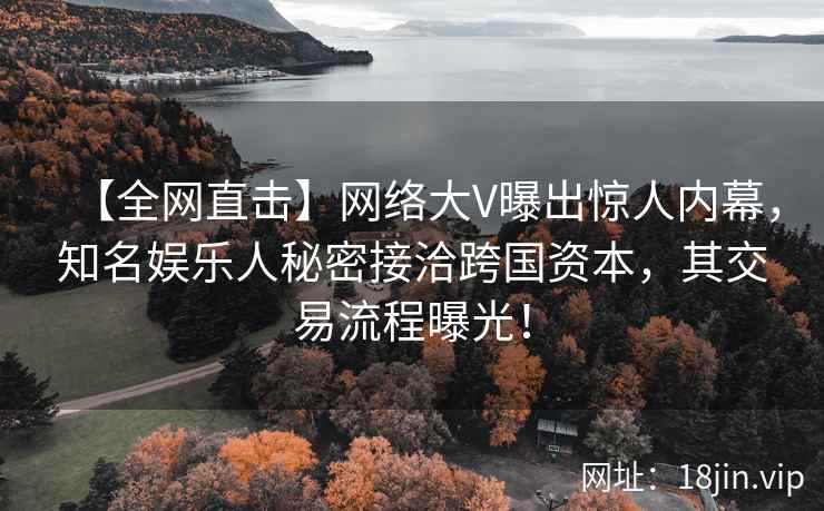【全网直击】网络大V曝出惊人内幕，知名娱乐人秘密接洽跨国资本，其交易流程曝光！