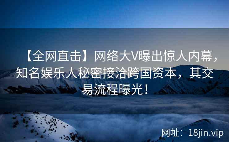 【全网直击】网络大V曝出惊人内幕，知名娱乐人秘密接洽跨国资本，其交易流程曝光！