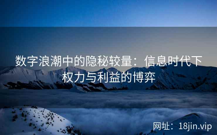 数字浪潮中的隐秘较量：信息时代下权力与利益的博弈