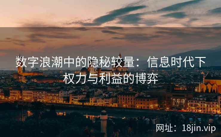 数字浪潮中的隐秘较量：信息时代下权力与利益的博弈